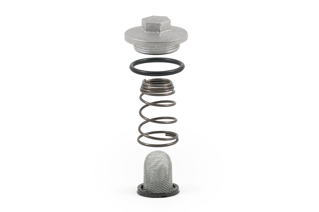 Ölfilter Komplett 50ccm/125ccm (Schraube, Dichtung, Feder u. Filter)