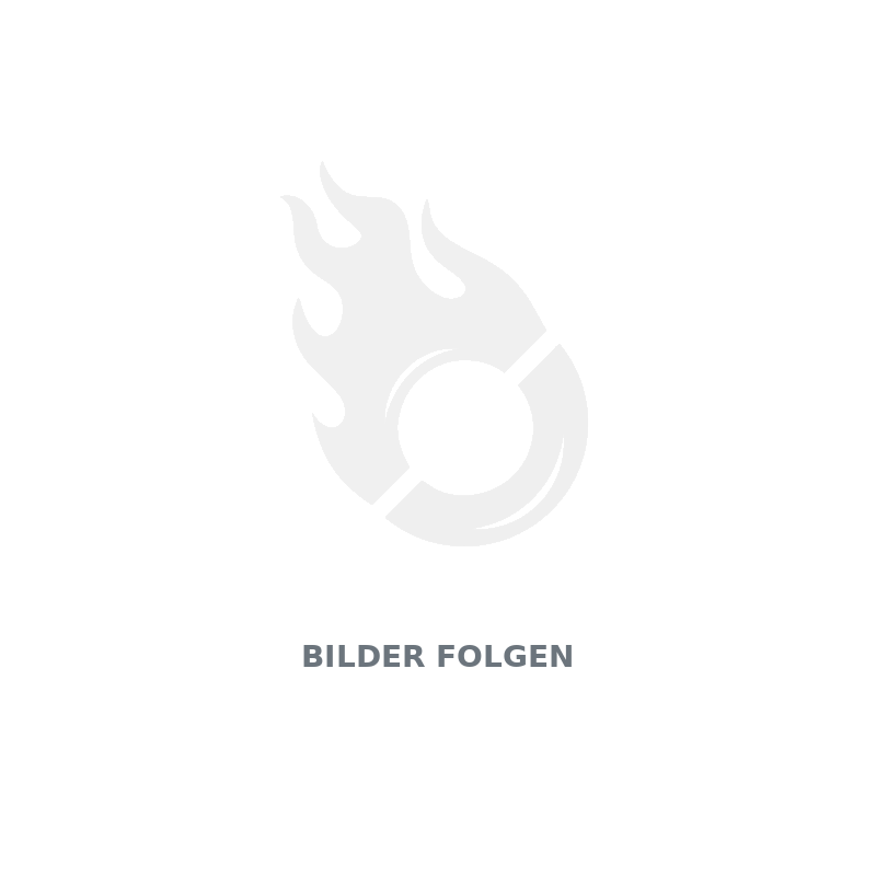 Hochdruck-Schlauchschellen Heat TY50QT-19D 50 ccm Euro 4