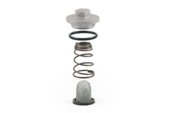 Ölfilter Komplett 50ccm/125ccm (Schraube, Dichtung, Feder u. Filter)